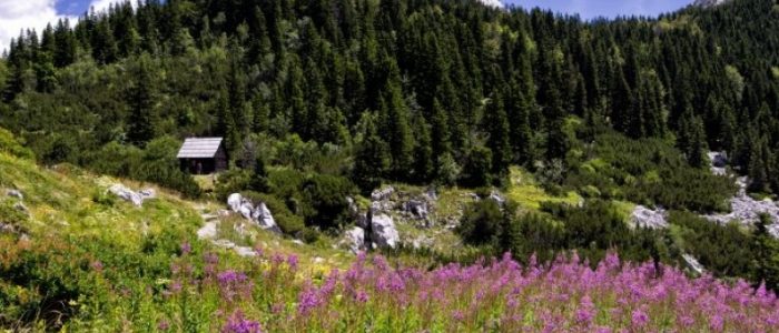 Velebit Planina Priroda Turizam